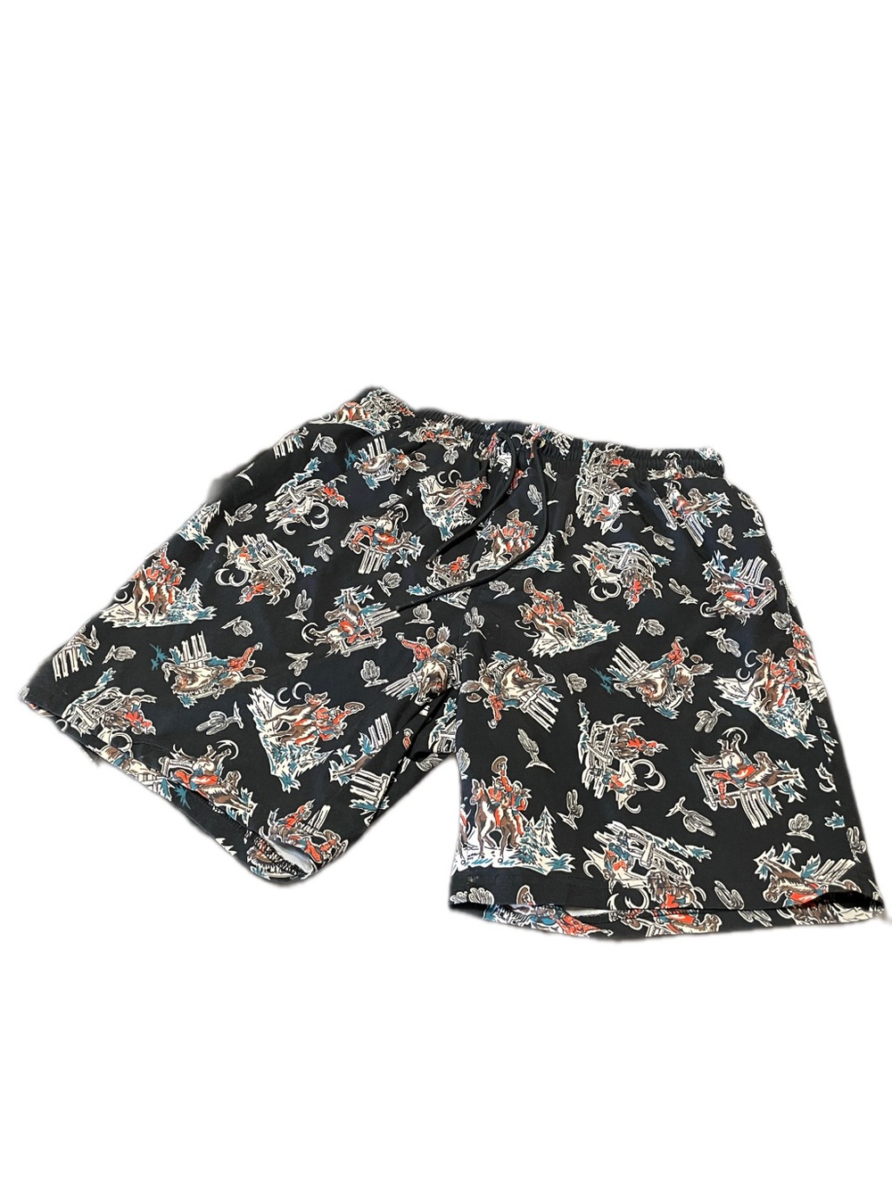 Cinch Bronc Rider Swim Trunks, Size S, Aztec